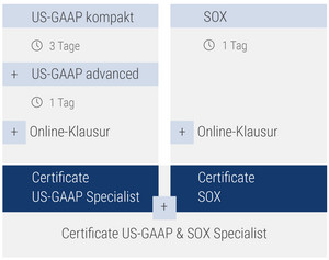 AKIR_US-GAAP_US-SOX